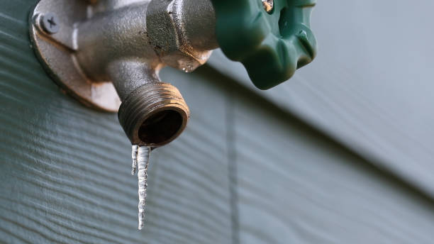 Best Plumbing Repair Near Me  in Montrose, MN